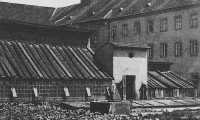 Brno | Mendelův skleník